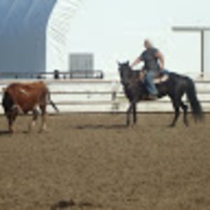 Meet your Posher, Dale